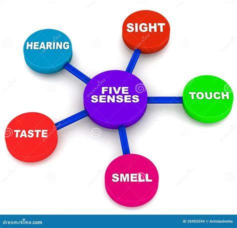 Five Human Senses Stock Images - Image: 26903594