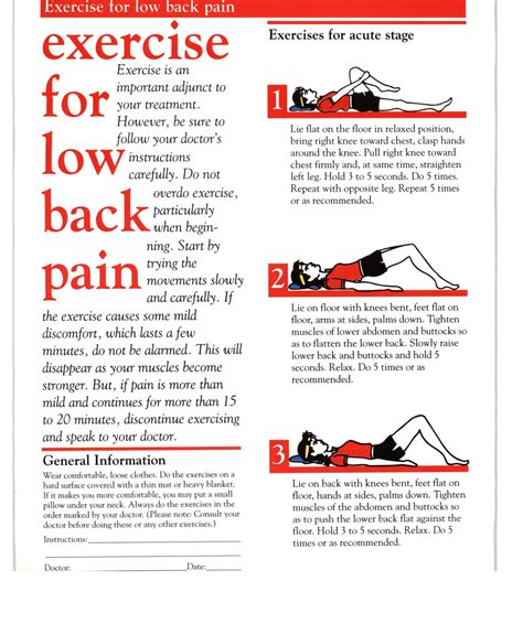 Famous Low Back Pain Exercise Pdf Ideas - Satu Trik