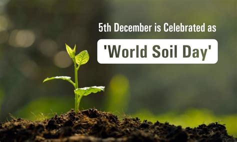 Let's pledge to save future on World Soil Day!