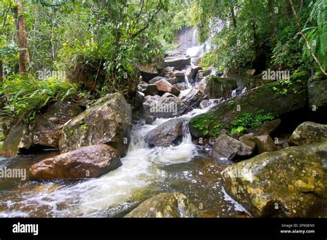 Waterfall, Sinharaja National Park Rain Forest, Sinharaja Forest ...