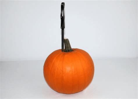How to Turn a Pumpkin Into a Flower Vase - @Redfin