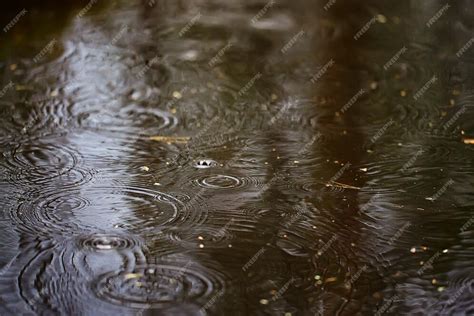 Premium Photo | Rain puddle circles, aqua abstract background, texture autumn water