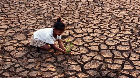 What Really Happens During A Drought