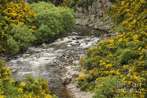 Taieri River Photograph by Bob Phillips - Fine Art America