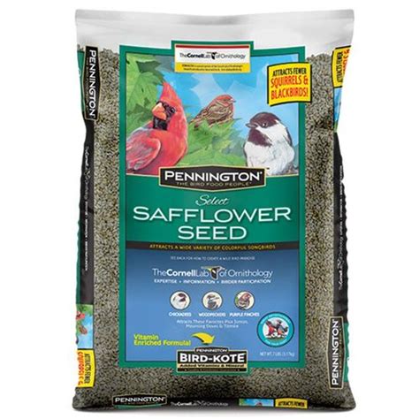 Safflower Seed Bird Food 5lb | Agri Supply