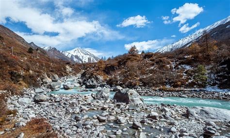 8 Days Langtang Valley Trek Itinerary | Difficulty | Best Season | Full Guide