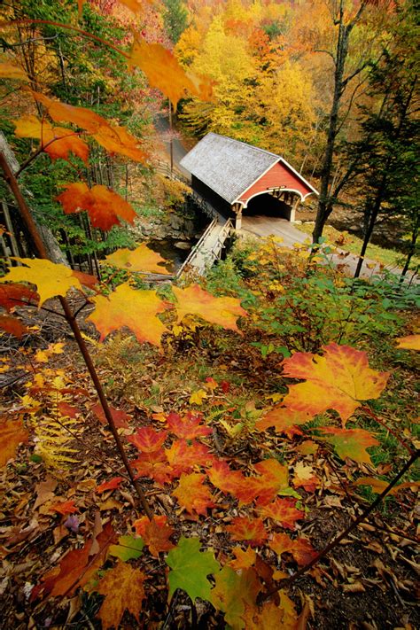 25 of the Prettiest Covered Bridges in America | Autumn scenery ...