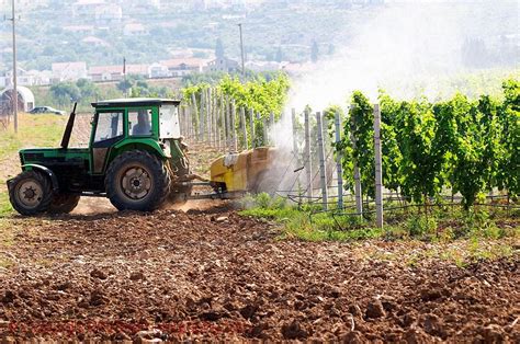 Is Organic Viticulture Really Possible?