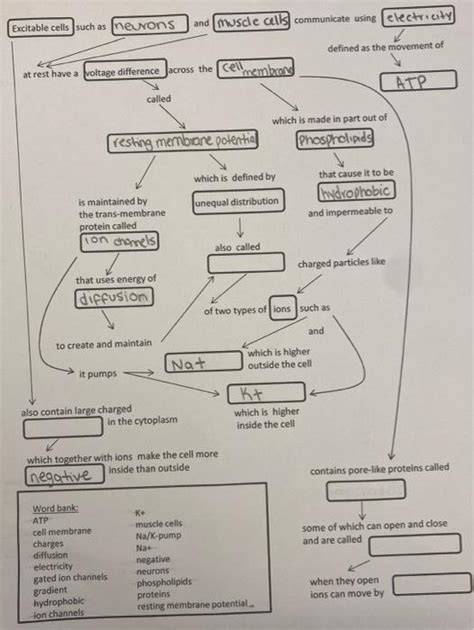 Solved Excitable cells such as (neurons and muscle cells | Chegg.com