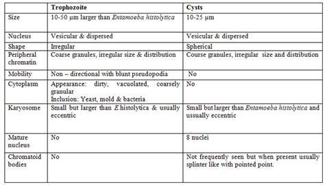 Entamoeba coli - DIAGNOSTIC OF INTESTINAL AMEBAES