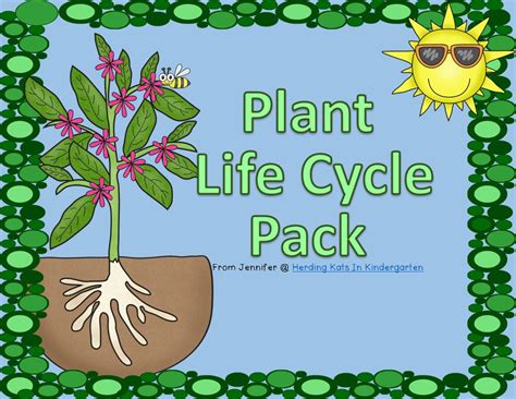 Herding Kats in Kindergarten: Plant Life Cycle Unit