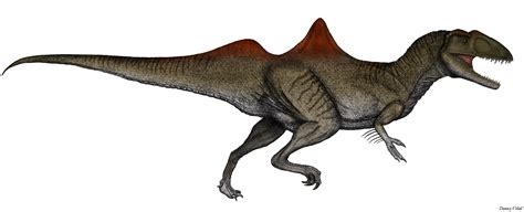 Altispinax and Concavenetor difference : r/Dinosaurs