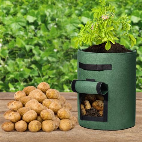 Potato Grow Bags Green | Amazing Garden