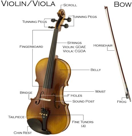 Difference Between Fiddle And Violin – Best Event in The World