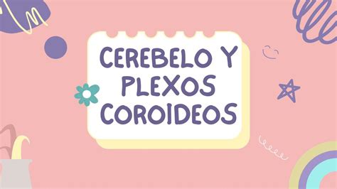 Cerebelo y Plexos Coroideos | Asiul | uDocz