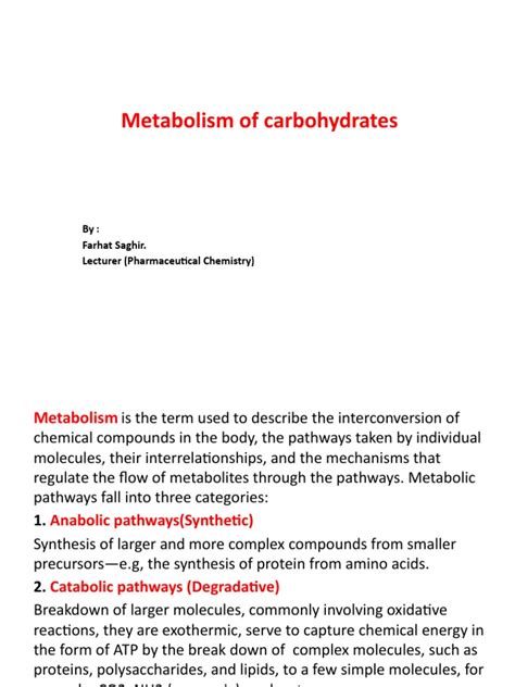 2 Metabolism of Carbohydrates and Glycolysis | PDF | Metabolic Pathway ...