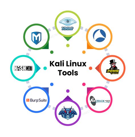 Top Kali Linux Tools for 2024