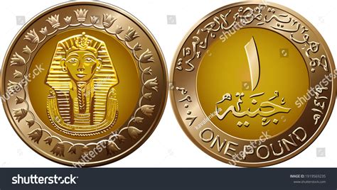 One Egyption Money Images: Browse 1,912 Stock Photos & Vectors Free ...