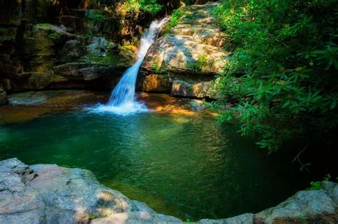 7 Best Cherokee National Forest Waterfall Trails