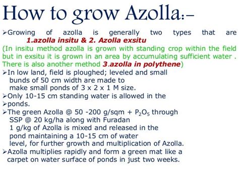 Azolla ppt