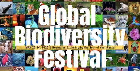 World Biodiversity Day & Global Biodiversity Festival – Toucan Rescue Ranch