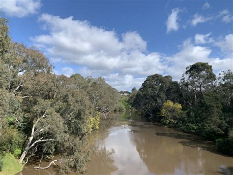 Yarra Bend Park, Kew - Eco Explorers