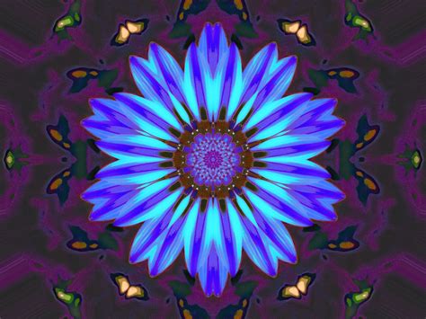 Blue Flower Kaleidoscope Free Stock Photo - Public Domain Pictures
