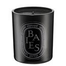 Baies Room Spray by Diptyque | Luckyscent