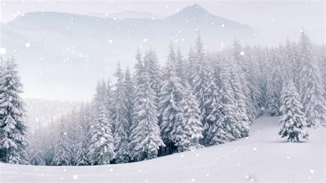 Snowy Forest Live Wallpaper