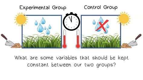 Experimental Group Psychology