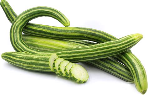 35 Best Cucumber Varieties You Can Grow At Home | Gardenoid