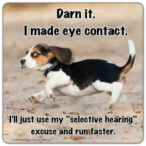 Funny Beagle Quotes - ShortQuotes.cc