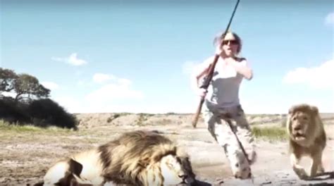 South Africa: Lion 'gets revenge' on trophy-hunters who gunned down ...