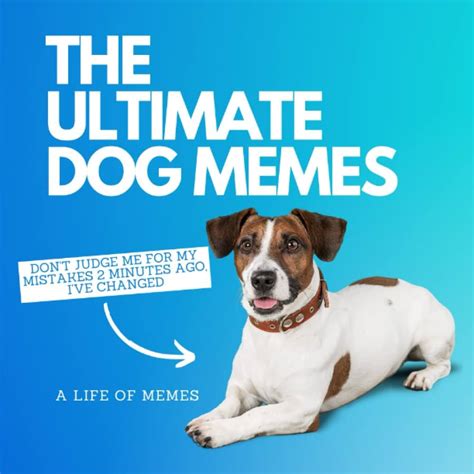 Dog Memes Stickers Funny Dog Meme Stickers Fun Dog Meme | lupon.gov.ph