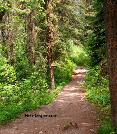 Hike Jasper - Horseshoe Lake