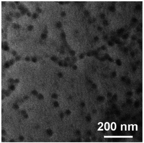 Do Exotic Block Copolymer Morphologies Really Exist? - Advanced Science News