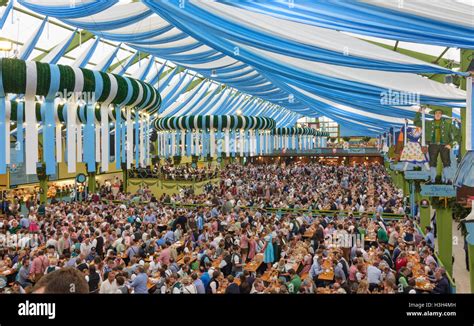 München, Munich: Oktoberfest beer festival: Ochsenbraterei tent, guests ...