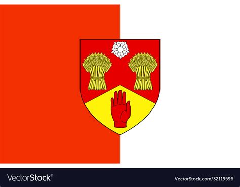 Flag county londonderry in ulster ireland Vector Image