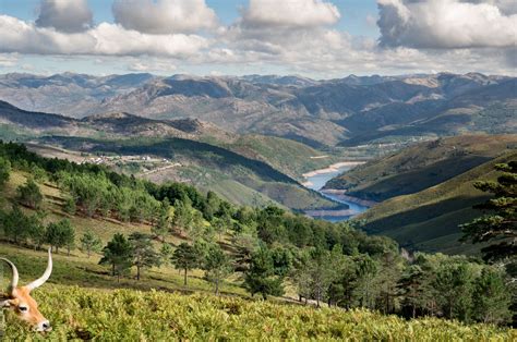 Peneda Geres national park, Portugal, Portugal