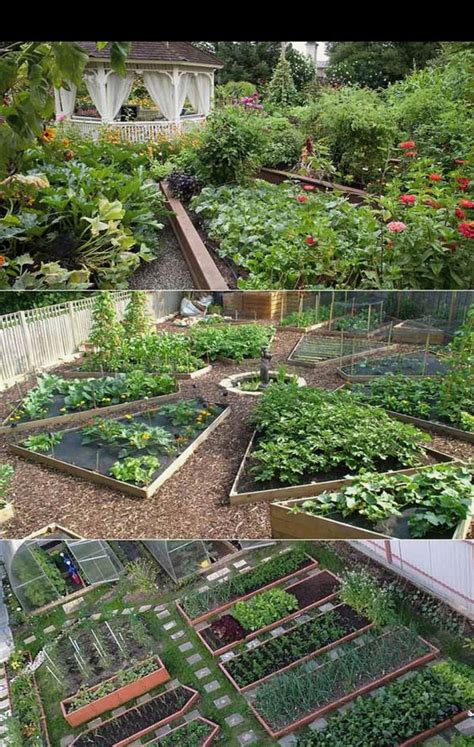 Vegetable Gardening | Gardening Steps #contemporarygardendesign Fresh ...