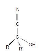 21.9 Nucleophilic Addition of Cyanide - Chemistry LibreTexts