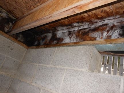 Crawlspace Mold .......Signs, Causes, Removal