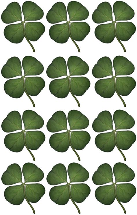 Free 4 Leaf Clovers by UncommonAnnie on DeviantArt