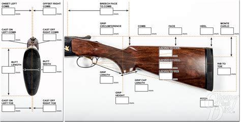 What You Need to Know Before Buying a Shotgun Part 1