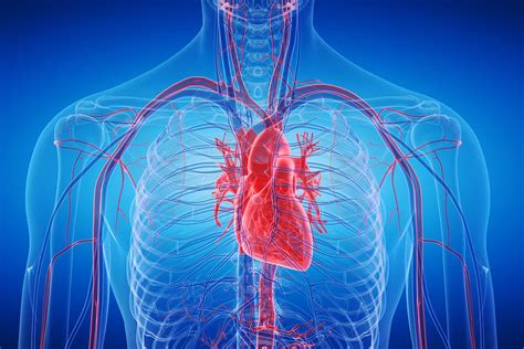 Benefits and risks of a heart transplant - Organ transplantation - NHS Blood and Transplant