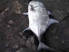 Ulua fishing Hawaii - YouTube Hobbies, Youtube, Youtubers, Peaches ...