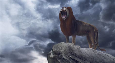 11680x8320 Simba in The Lion King 2019 Movie 11680x8320 Resolution Wallpaper, HD Movies 4K ...