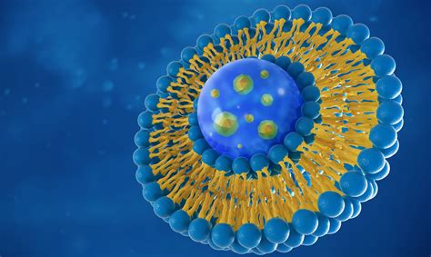 Ronavax Roulette: Lipid Nanoparticles (Part Two) - Activist Post