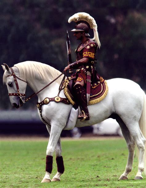 Traveler, the USC Mascot. Celebrating his 50 Year Anniversary! - Horse ...