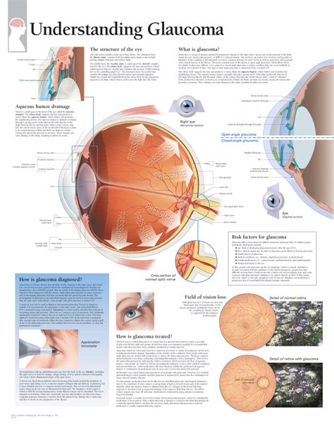 Laminated Wall Chart Understanding Skin chart Charts & Posters ems-it.net